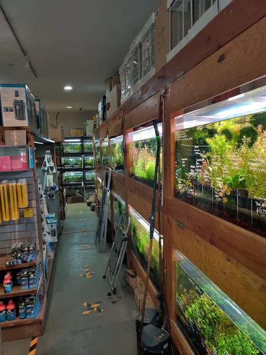 Aqua Forest Aquarium Picture 2