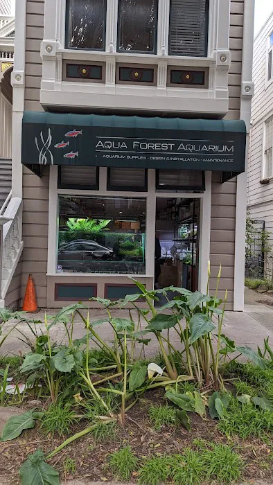 Aqua Forest Aquarium Picture 1