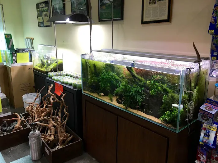 Aqua Forest Aquarium Picture 9