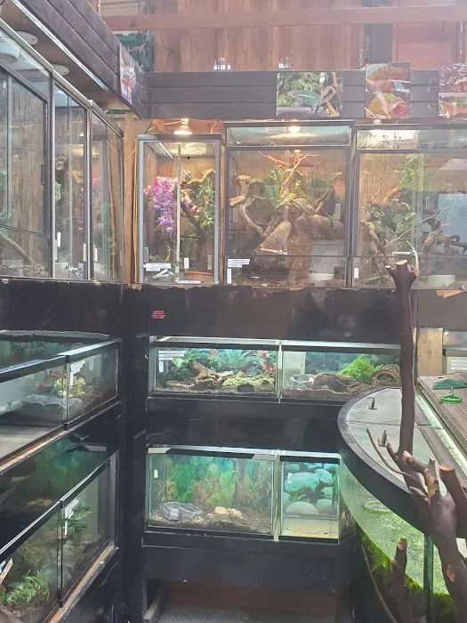 East Bay Vivarium Picture 6