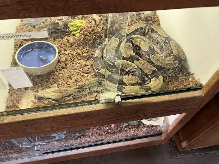 East Bay Vivarium Picture 7