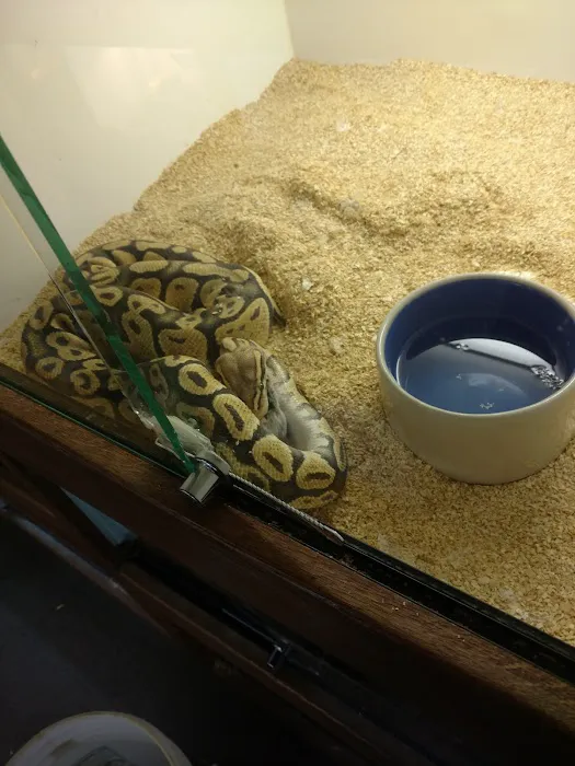 East Bay Vivarium Picture 8