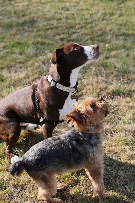 METROVET Veterinary Clinic Picture 8