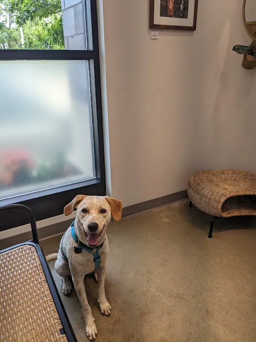 METROVET Veterinary Clinic Picture 10