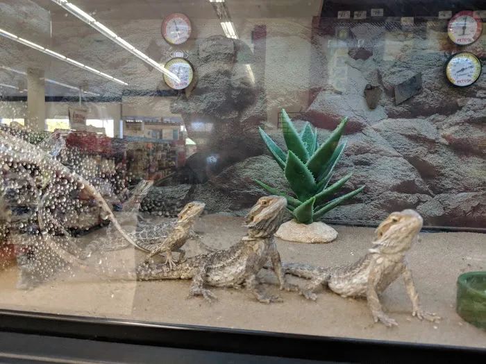 Petco Picture 7