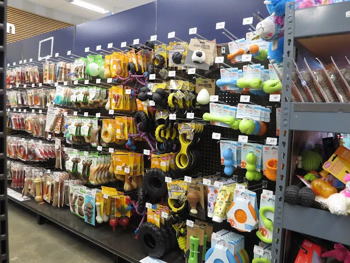 Petco Picture 6