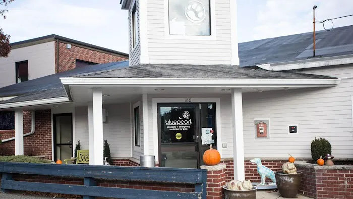 CVCA Cardiac Care for Pets - Waltham Picture 2