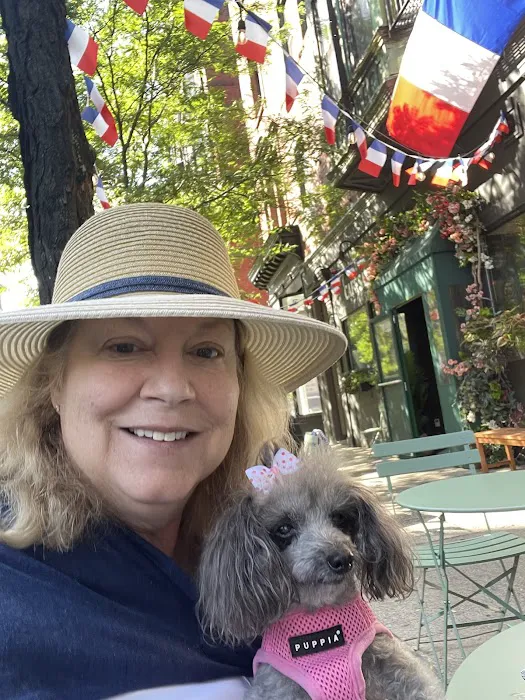 CVCA Cardiac Care for Pets - Waltham Picture 7