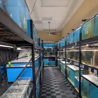 Finatics Aquarium ico