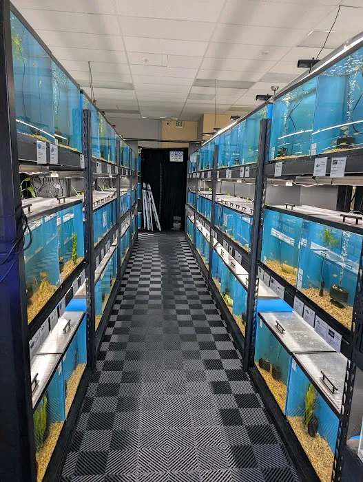 Finatics Aquarium Picture 3
