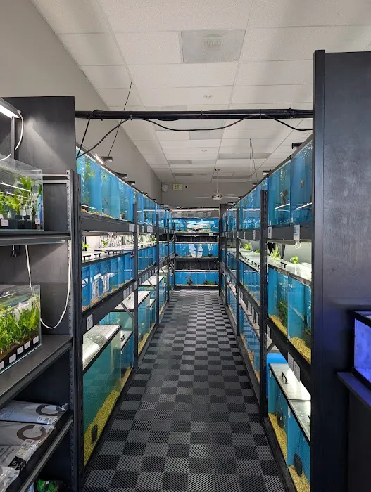Finatics Aquarium Picture 2