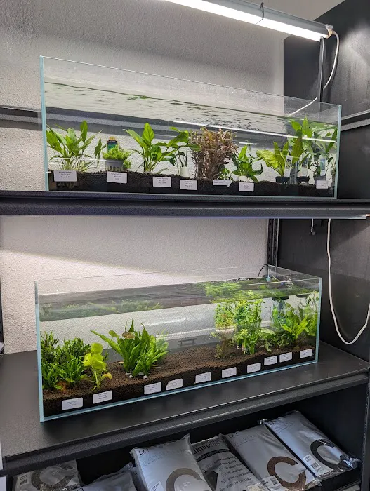 Finatics Aquarium Picture 4