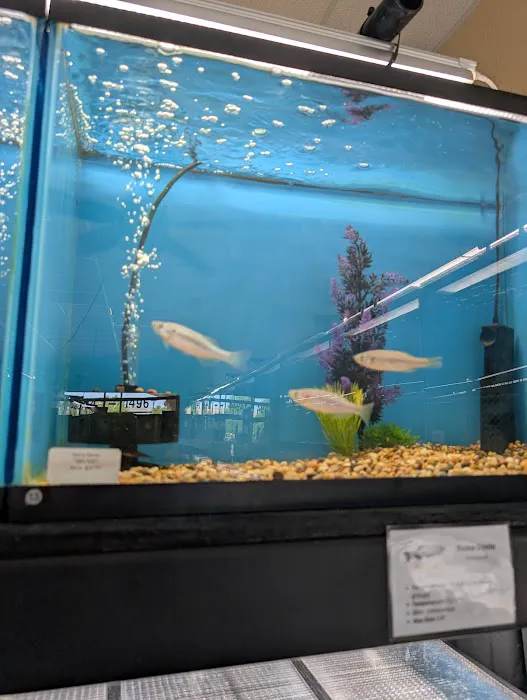 Finatics Aquarium Picture 6