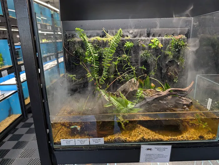 Finatics Aquarium Picture 7