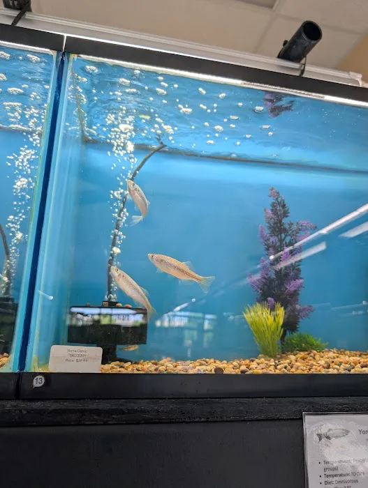 Finatics Aquarium Picture 9