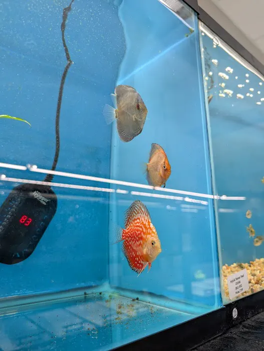 Finatics Aquarium Picture 10