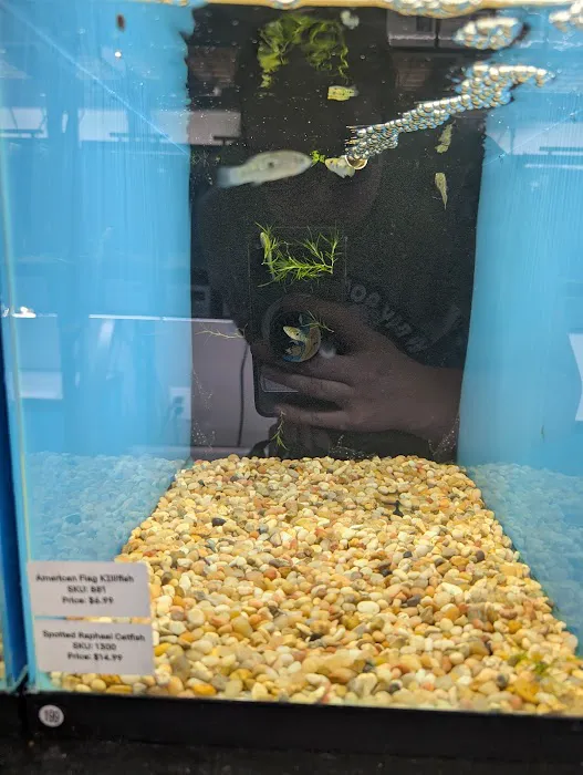 Finatics Aquarium Picture 8