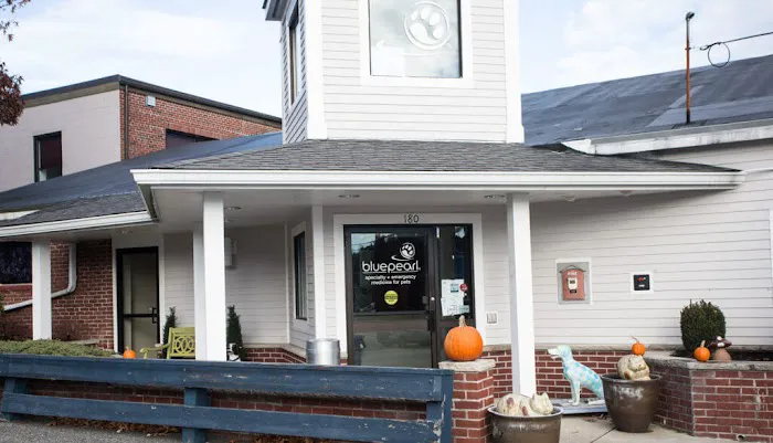 BluePearl Pet Hospital Picture 4