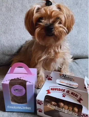 Snacky Snax Barkery Picture 4