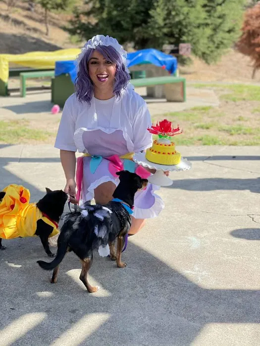 Snacky Snax Barkery Picture 7