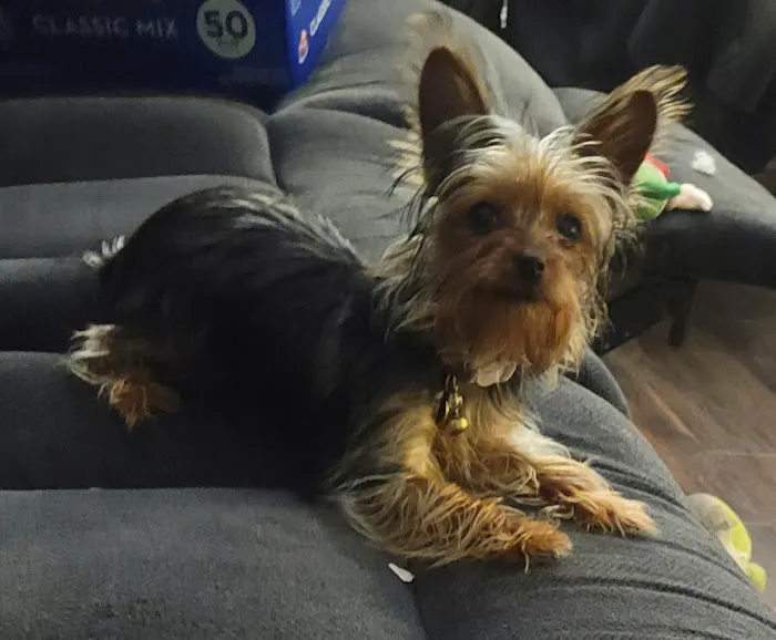 Snacky Snax Barkery Picture 10