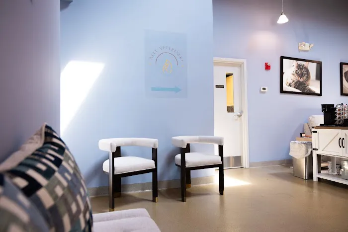 Ally Veterinary Specialty Center Picture 7
