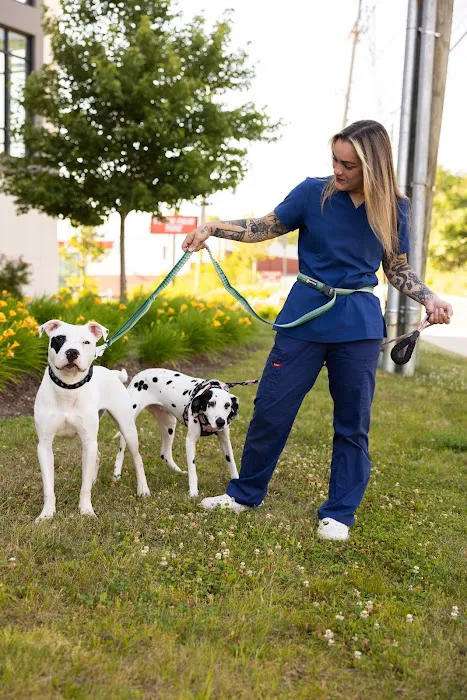 Ally Veterinary Specialty Center Picture 10