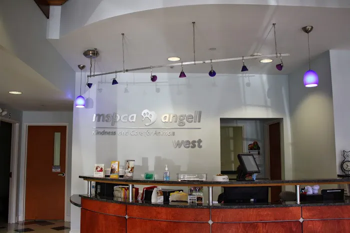 MSPCA-Angell West Picture 1