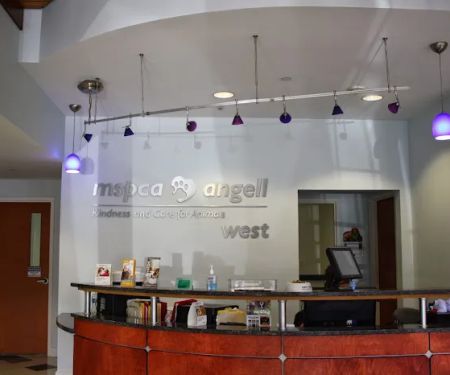 MSPCA-Angell West