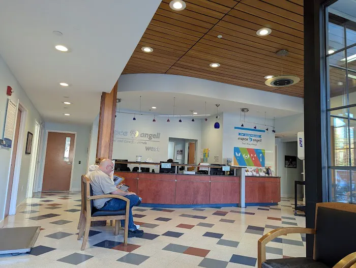 MSPCA-Angell West Picture 2