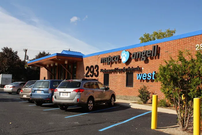 MSPCA-Angell West Picture 4