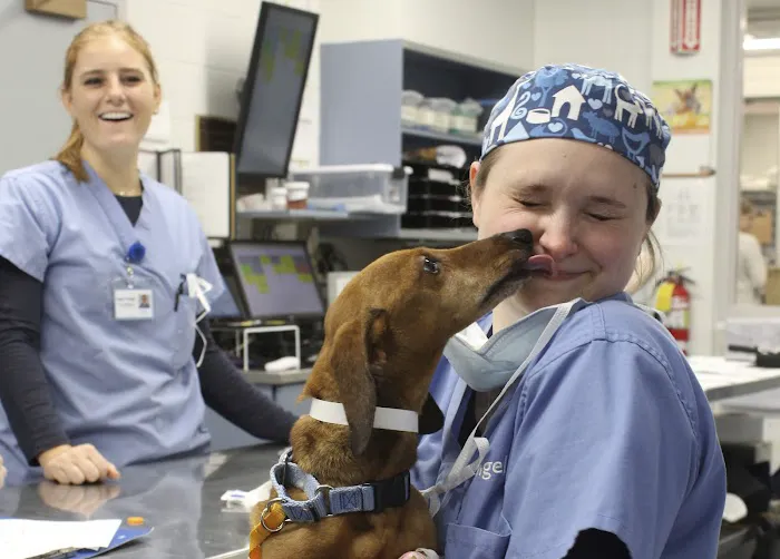 MSPCA-Angell West Picture 3