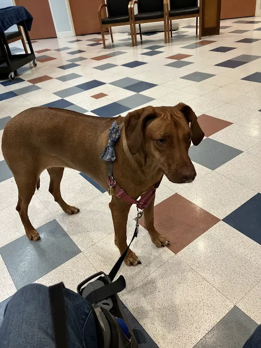 MSPCA-Angell West Picture 8