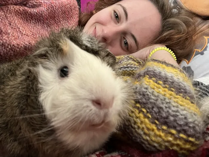 MSPCA-Angell West Picture 10