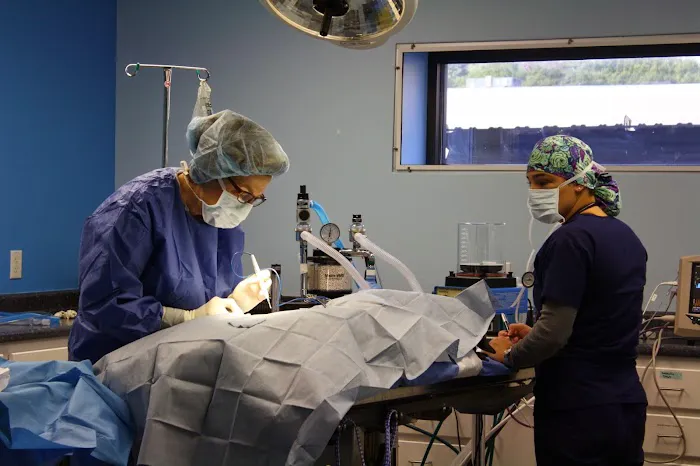 MSPCA-Angell West Picture 9