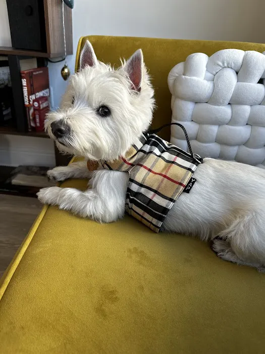 YAP Stores Picture 4