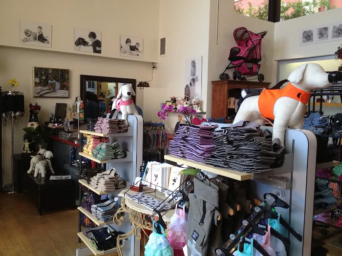 YAP Stores Picture 5