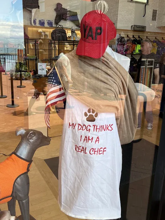 YAP Stores Picture 9