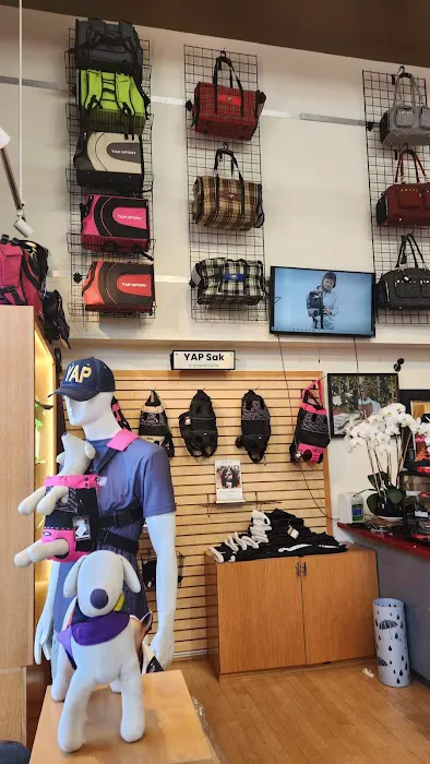 YAP Stores Picture 10