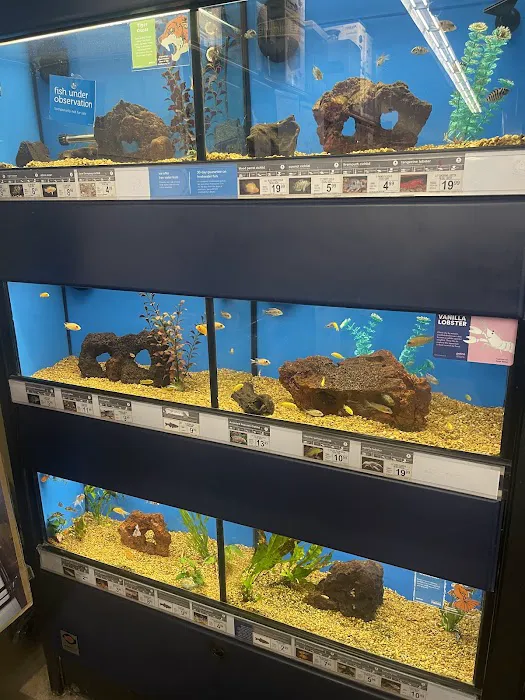 Petco Picture 2