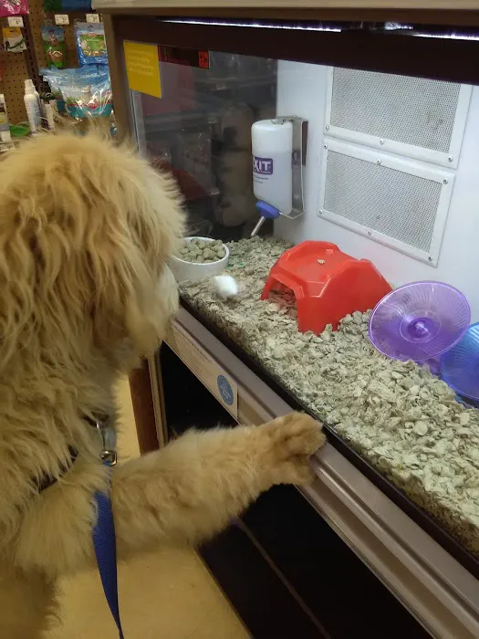 Petco Picture 6