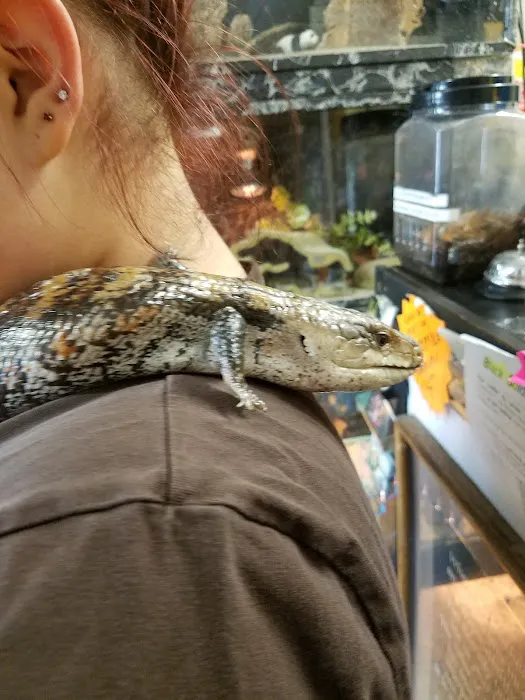 Hoffmann's Reptile Shop Picture 6