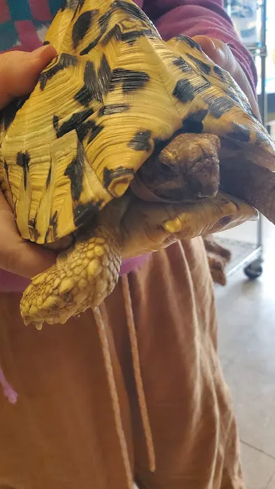 Hoffmann's Reptile Shop Picture 5