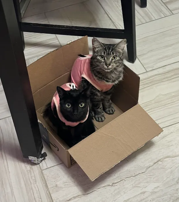 Kindness Animal Hospital Picture 8
