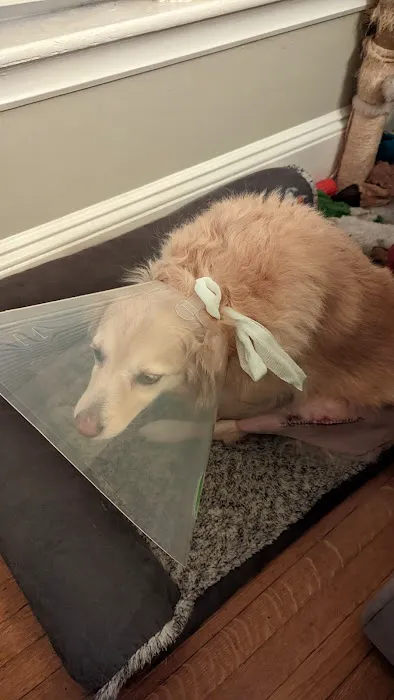 Kindness Animal Hospital Picture 6