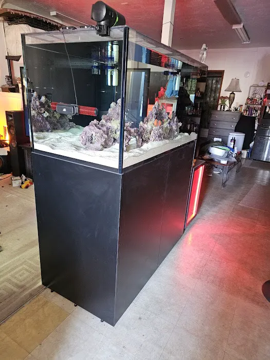 Reef Racket LLC Picture 5