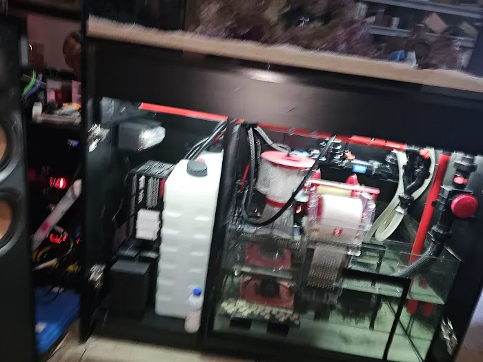 Reef Racket LLC Picture 7