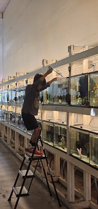 Concord Aquarium Picture 1