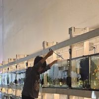 Concord Aquarium ico