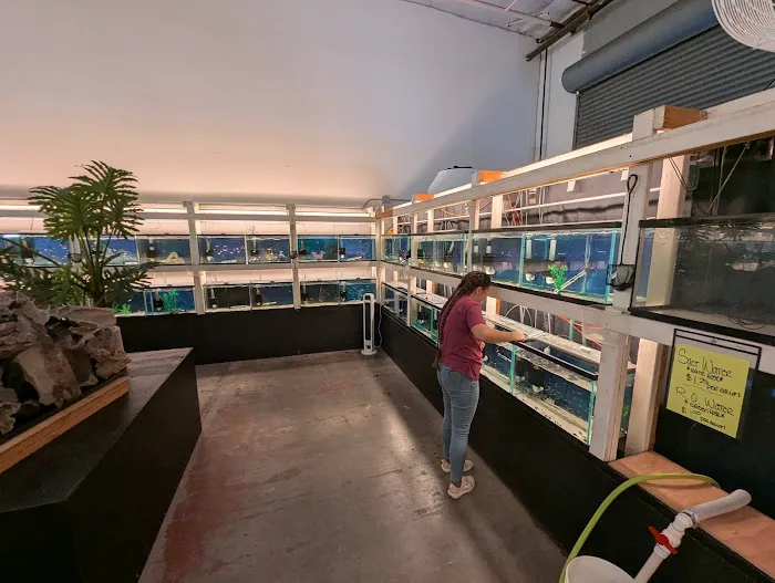 Concord Aquarium Picture 3